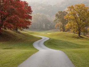 단풍 든 산자락 아래 카트길 (연출 이미지)